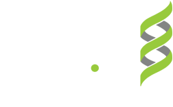 RealNetworks Helix